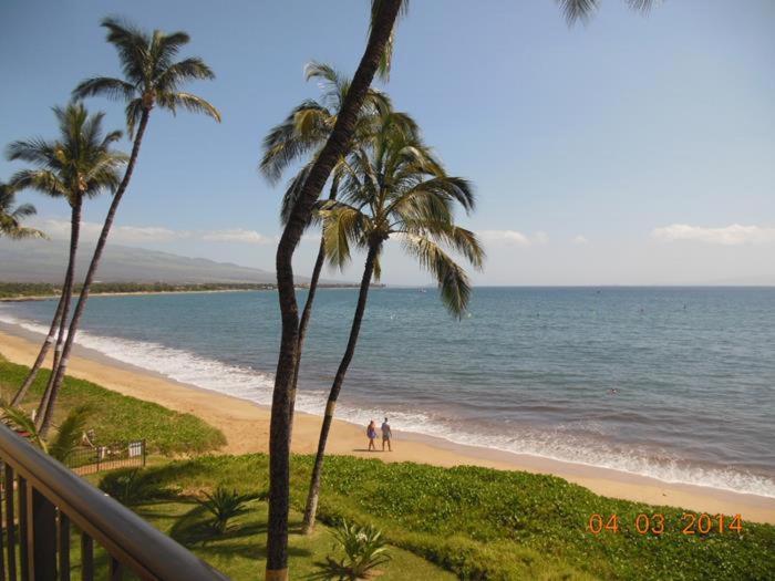 Deluxe Oceanview Maui Studio..New & Updated Kahana Eksteriør billede